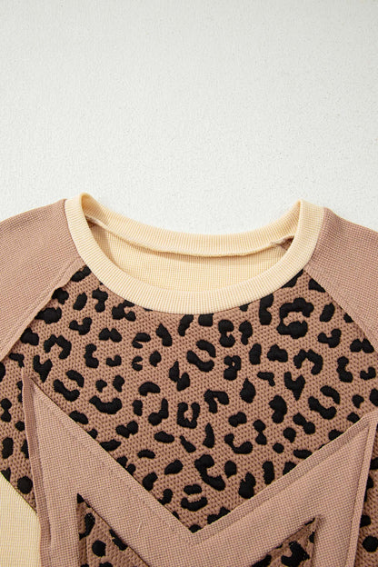 Leopard Star Color Block Sweatshirt
